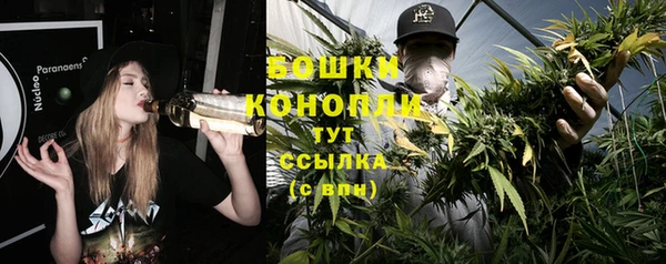 прущая мука Верея