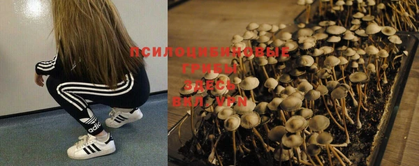 каннабис Верхний Тагил