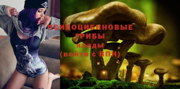 прущая мука Верея
