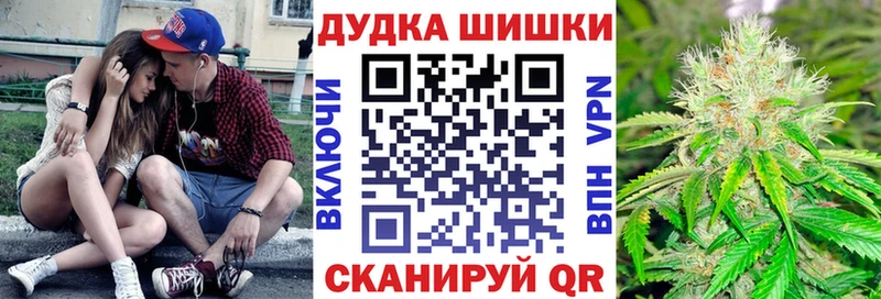 Купить  Камешково  Бошки Шишки семена 